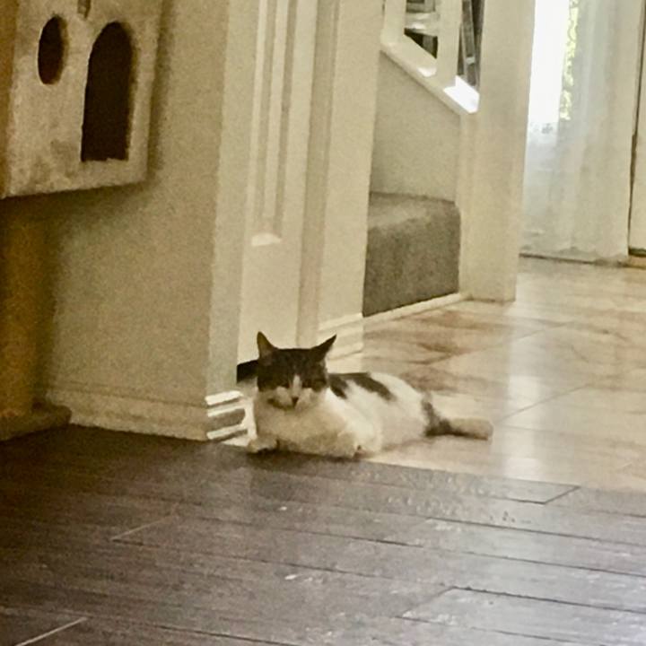 A25d1104 3516 49ce a414 ab885b6b332b 1662334554825