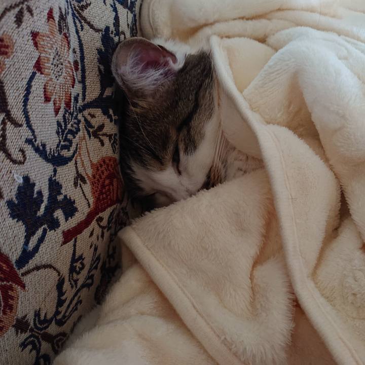 A25d2624 7ce1 4566 ae78 3c3a26bee1ee 1682467542184