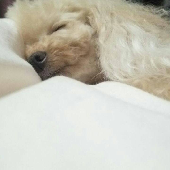 A25d2af8 5709 472f 8849 9a72bcd3911c 1531661665688