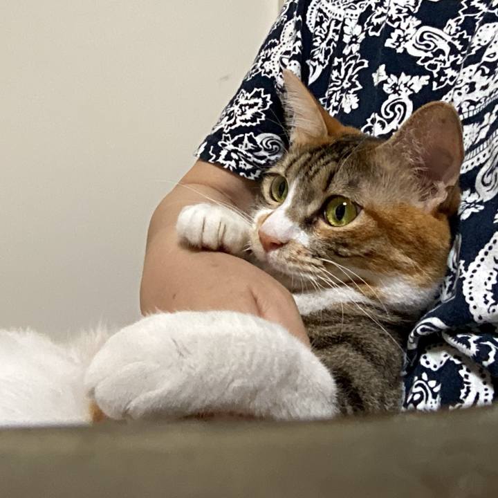 A25d3dcf b91b 4a07 a258 70ce78e45570 1694044446988