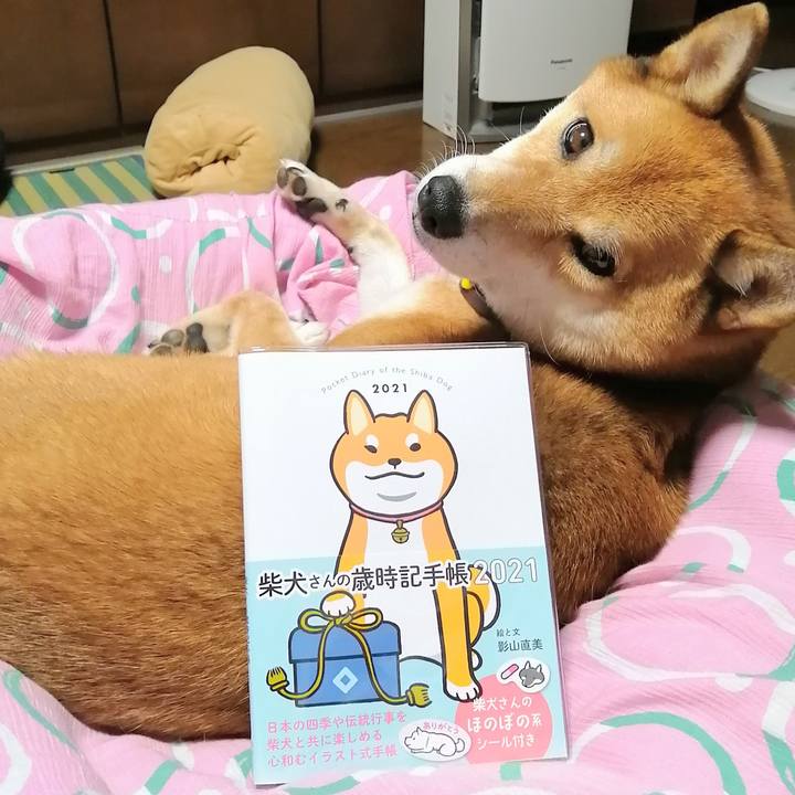 A25d427d 5cd2 469b adf0 4899ddb25f3c 1599906227637