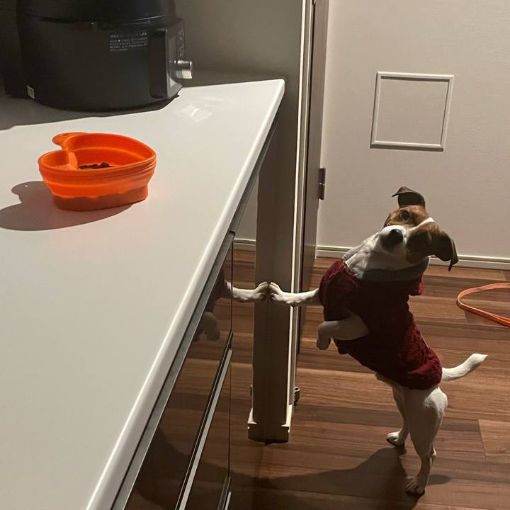 A25d57f7 9302 428c adac f5f5bed542f4 1643854894001