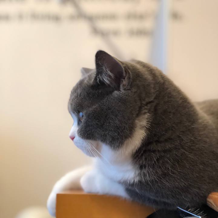 A25d5d35 6341 4264 b70b 5a11b058308f 1521615361347