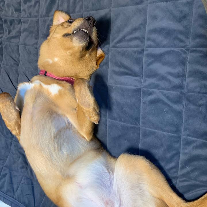 A25d7fc9 9341 4aa4 9beb 5e69984fa177 1562917648192