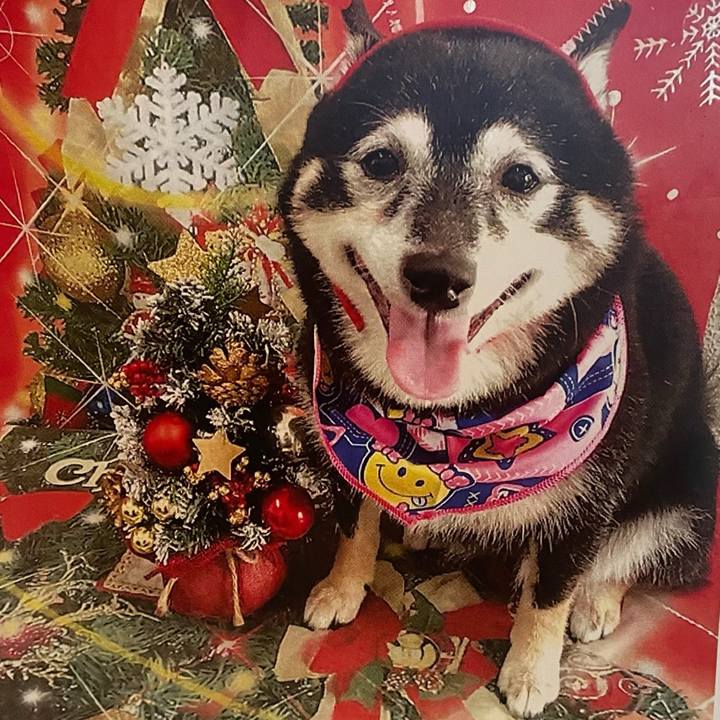 A25d9a69 54f9 462b 8348 69a23603225e 1766533826627