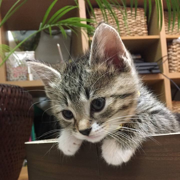 A25db713 04e9 448d bb0e cb5b1eaf71f9 1547789468623