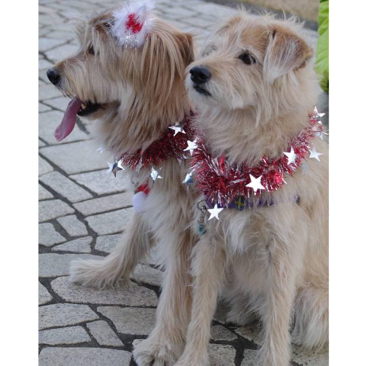 A25dd177 9dcb 4924 947a 8352f4d1095f 1608770141769