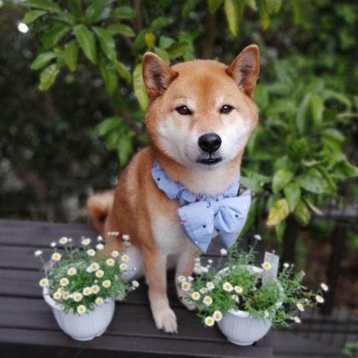 A25e04d9 2207 4e8e 88ff 8d27c6d0f2fd 1585553073019