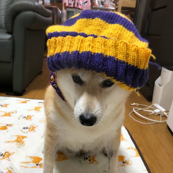 A25e1bf0 84bd 4e08 841b e4db243d7a3c 1571879939796