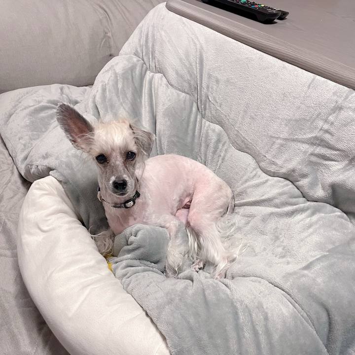 A25e3891 d565 4c8f 86fb aacd934b8750 1765417370540