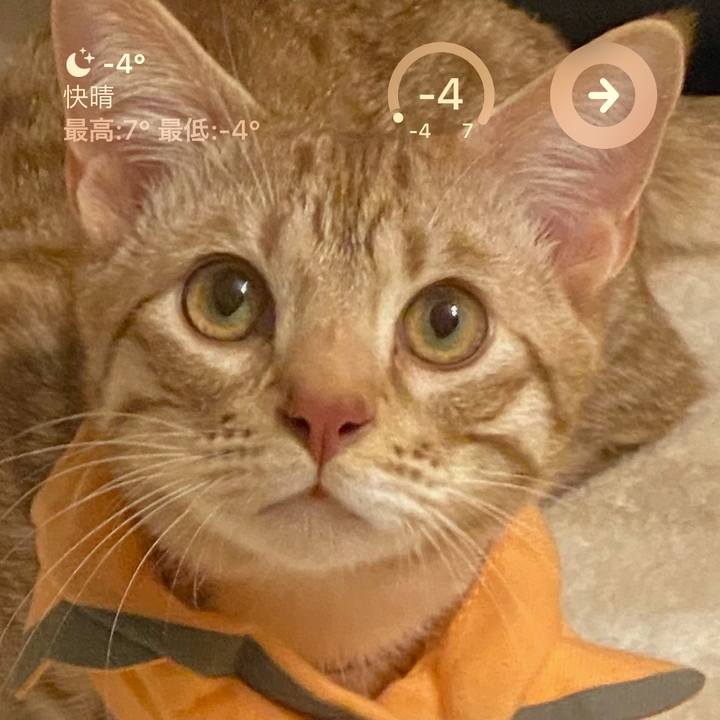 A25e468f 2896 49fc 99e6 8f82a6d8192a 1676499365629