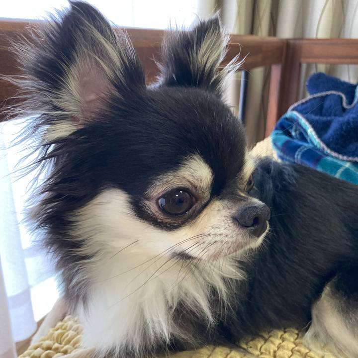 A25e523d ea03 44e7 9c0e cddf7746cf05 1660657800932