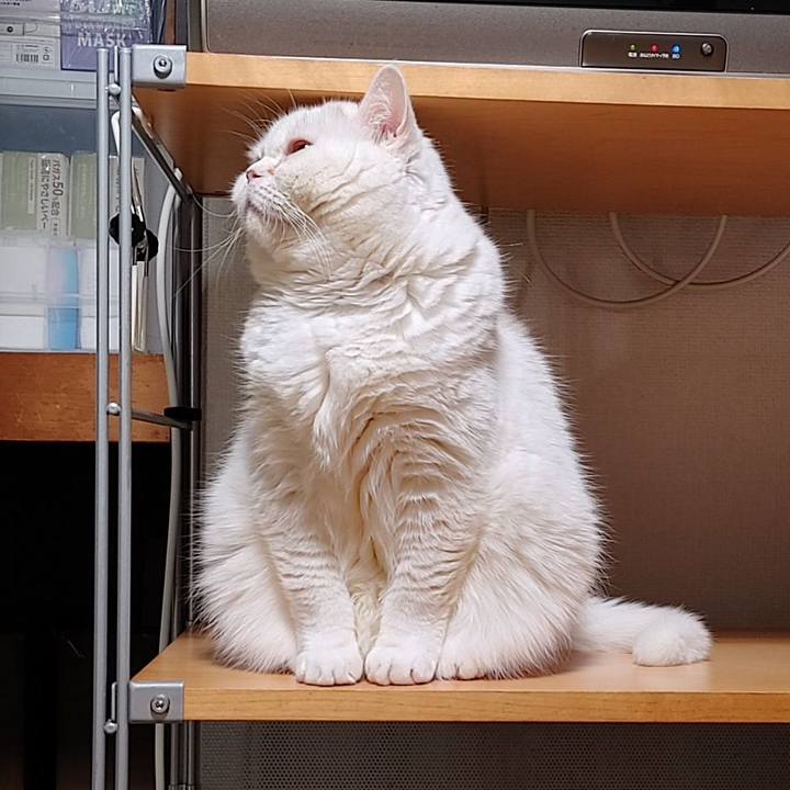 A25e74cd 7461 4007 a83f f415beda36e2 1676986555222