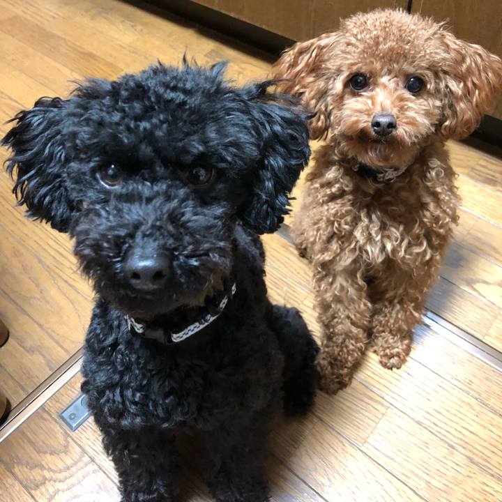 A25e8f2b 22b8 4e8f 85c8 9e20030c4066 1518313866130