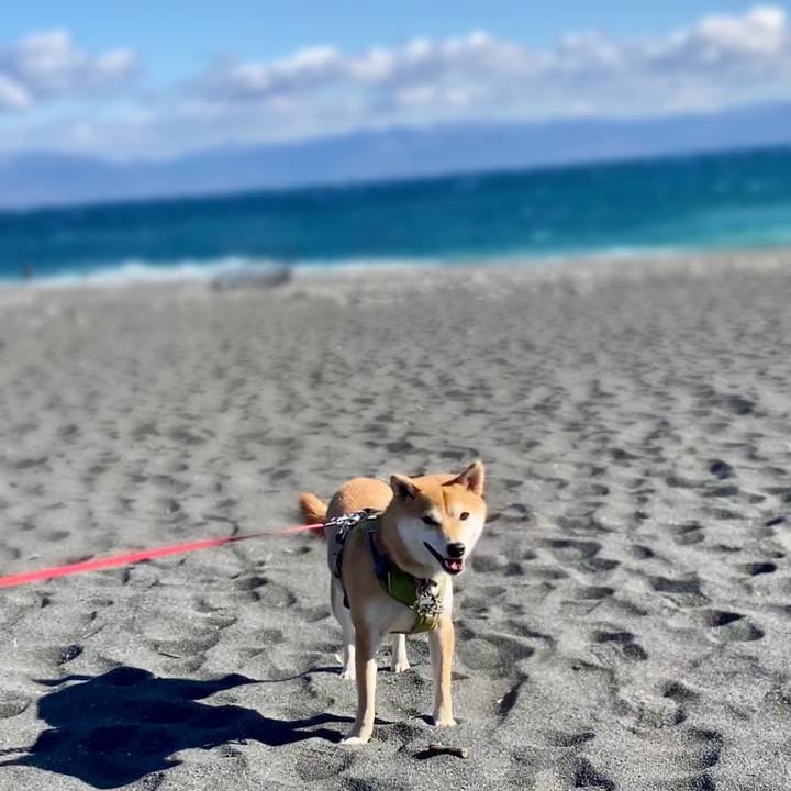 A25ea101 5436 4c92 a789 5b2d997a1004 1675041174053