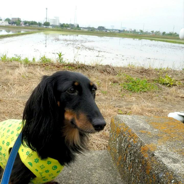 A25ee2a0 5dc7 4a49 8c2e 11fa035332d1 1528599479932