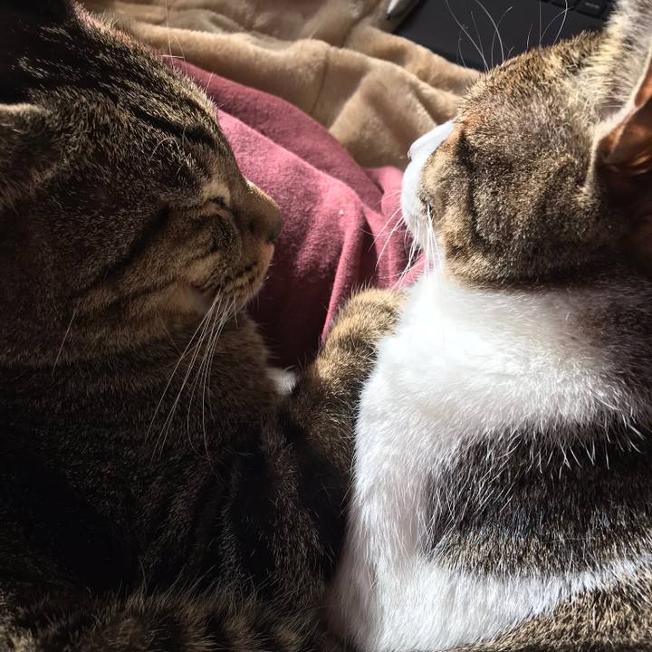 A25f04cd 5858 4c84 8a58 3e819652adaa 1515196130001