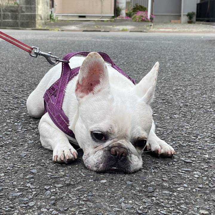 A25f2e10 d4d2 4228 b1fb 9edc3bbf343a 1747210635626