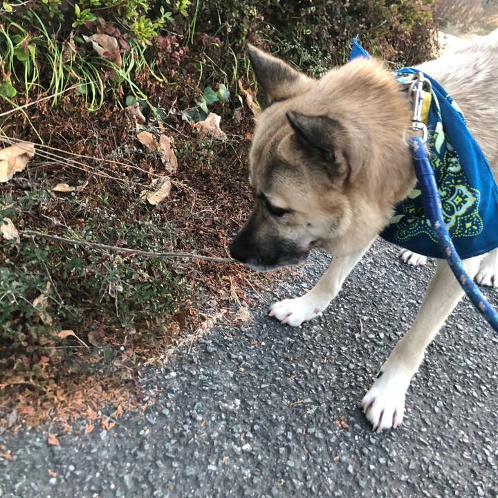 A25f416b 24dd 4e31 9d43 be1c784d19ea 1580386493690