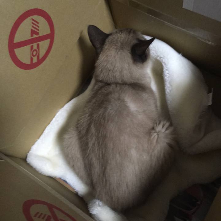 A25f4a04 81db 4169 afc4 beedf39b1933 1509710393597