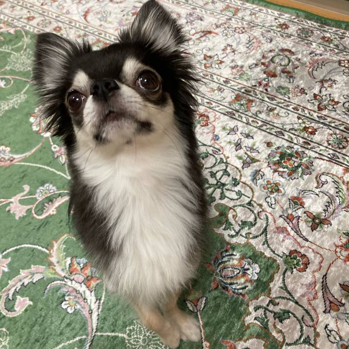 A25f4b10 d564 44f3 b48b f3904721d4cf 1657377244110