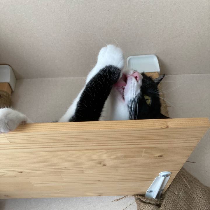 A25f6baa 5090 4c14 8e17 b3c2a2197411 1623570851843