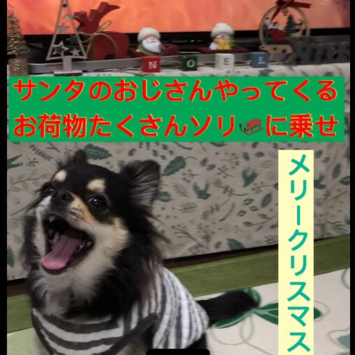 A25f8b3b 9696 4e80 b80b bfd4af4ce162 1577001999127