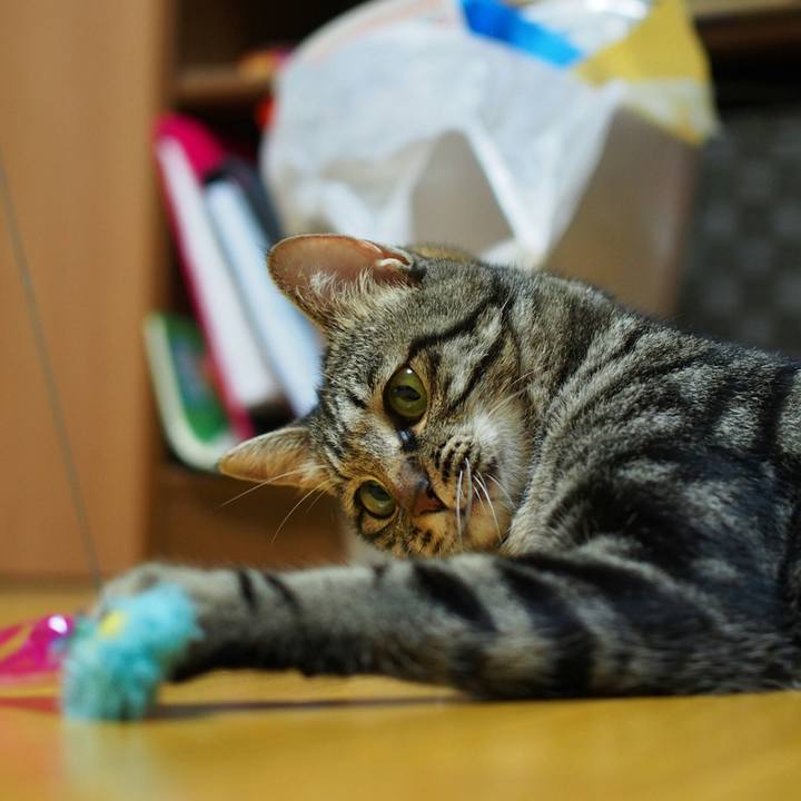 A25fb34e a995 4dbf b879 33415a4c28b2 1532268690894