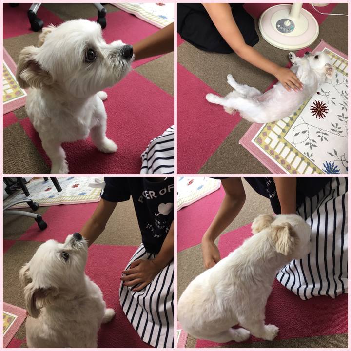 A2600937 4c4d 4f93 baa4 1926f86d6663 1564645372236