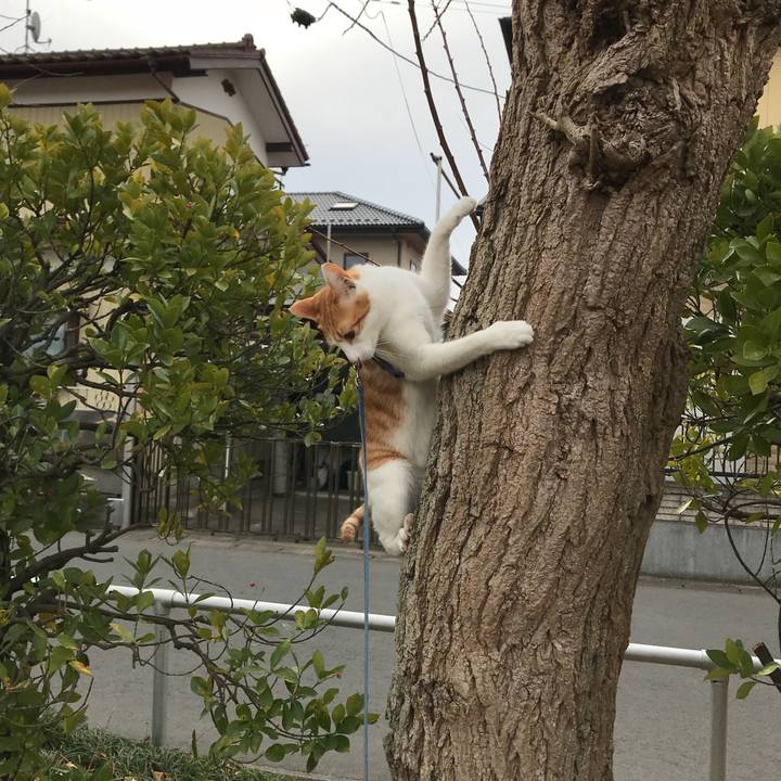 A2601457 429c 4274 842c 1618a5b383ec 1514080392736