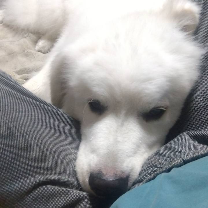 A2601dc6 4bb4 47e3 8277 27a137b8601b 1694134637662