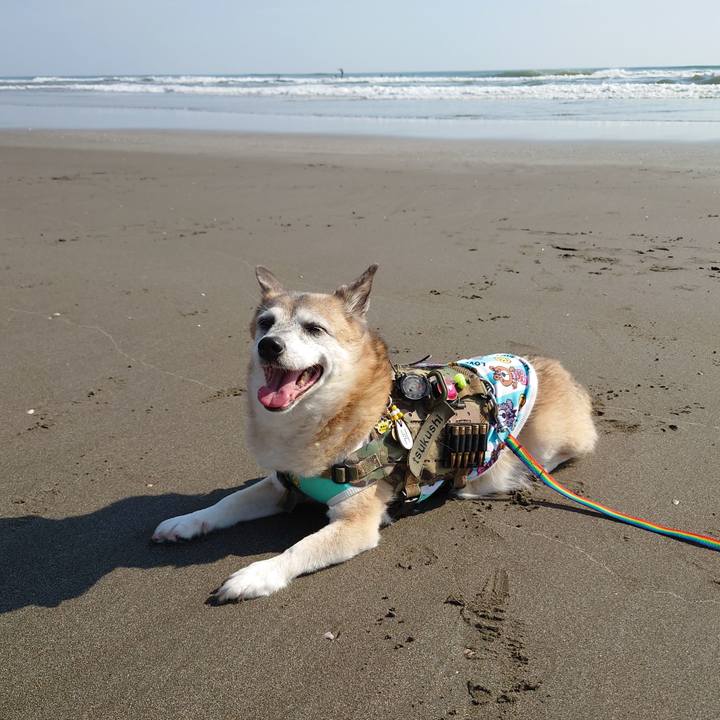 A260364f 1e02 4046 ac95 61fa338781df 1666528484810