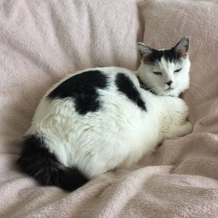 A2607464 1c82 4c72 9326 a1658bfe22bc 1516922387776