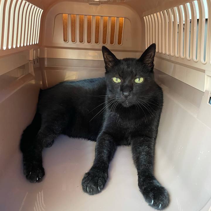 A260d595 5848 416e ac54 1428e60170af 1630283701971