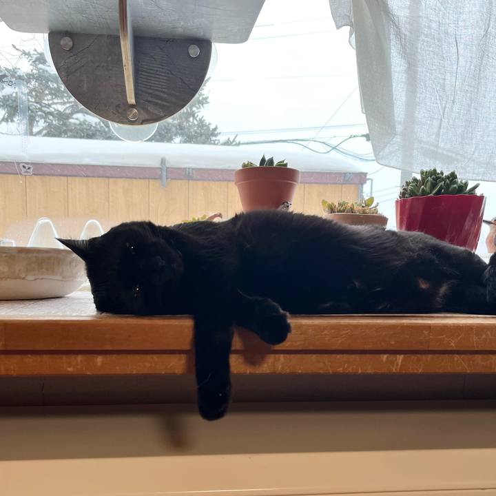 A260d78b 3d6d 43ab a520 b3d227a42194 1769725134961