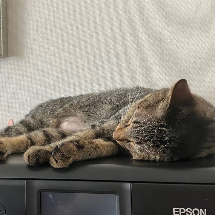 A2610789 fac8 4c16 9408 6f437fa3c6d4 1759203385367