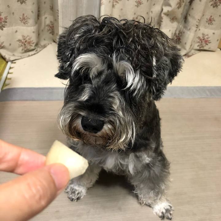 A2613a46 2b69 4275 b2ce 58a772db68c0 1630502288189