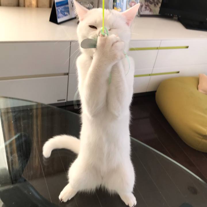 A2614a33 3e18 415e 8ec3 9bd353b81b5d 1579602515593