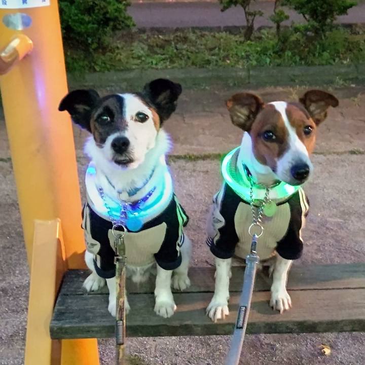 A26156c1 52e6 41af b38b e3f07db8308d 1653829993670