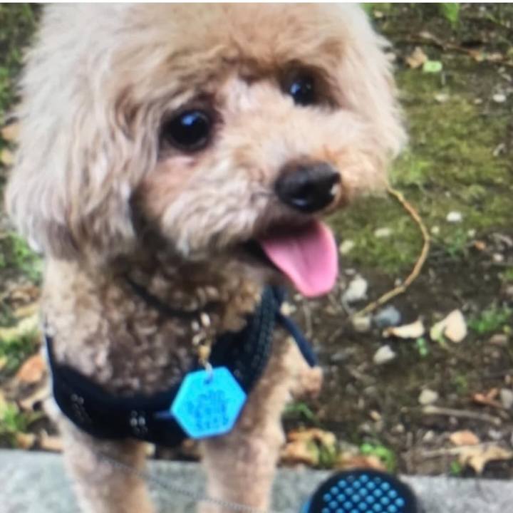 A2618369 7431 4faa ac5d e35cc1ee32ae 1771149678313