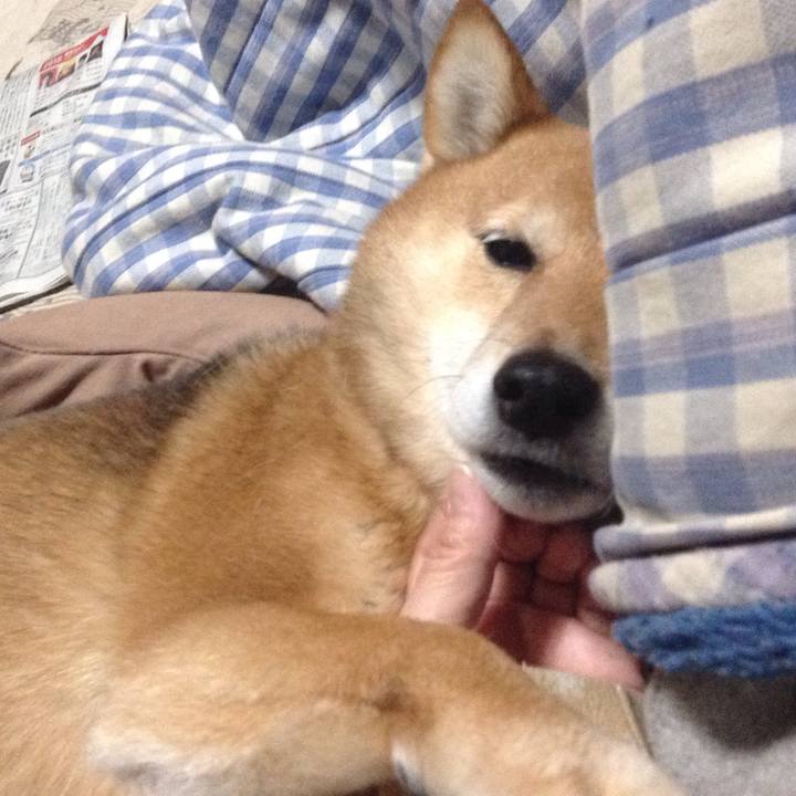 A261bf75 9d7e 40ba 9d28 45fd6b858e8d 1514626475475