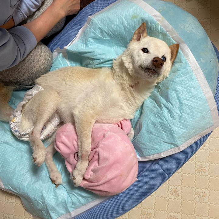 A261c4dc 2cc4 4006 9c62 88b8b9366620 1679120344086