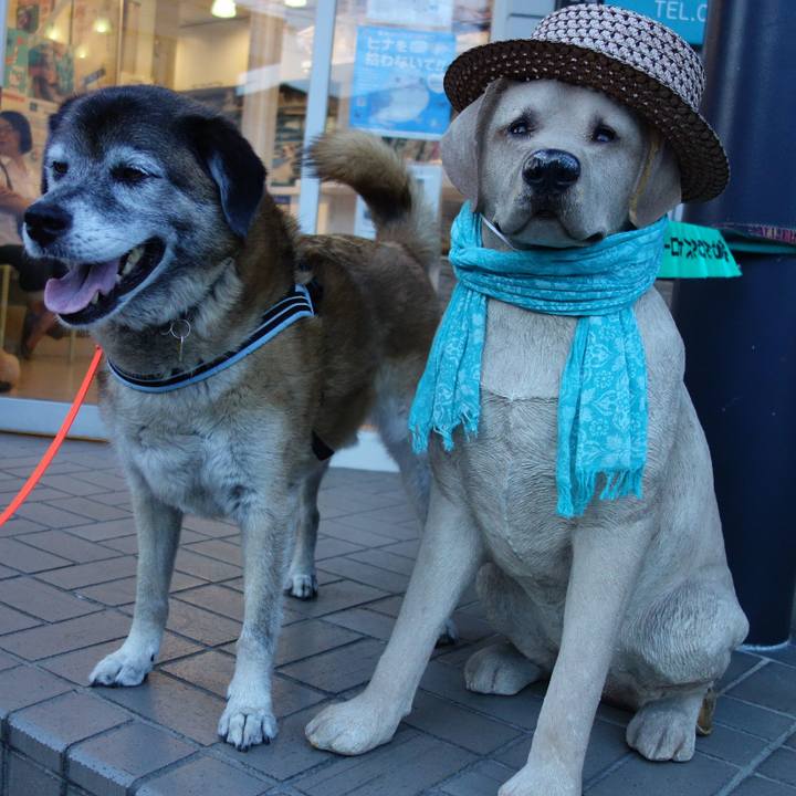 A261eb03 dcf1 4951 beda e83abff103de 1675129008993