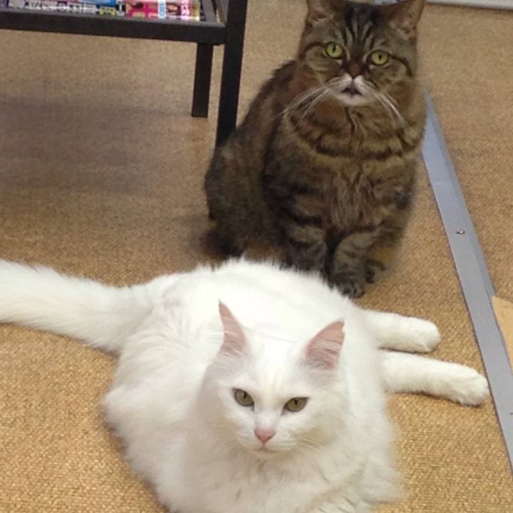 A261ef9d 562f 492c bf23 f445b8da64d1 1526172423960