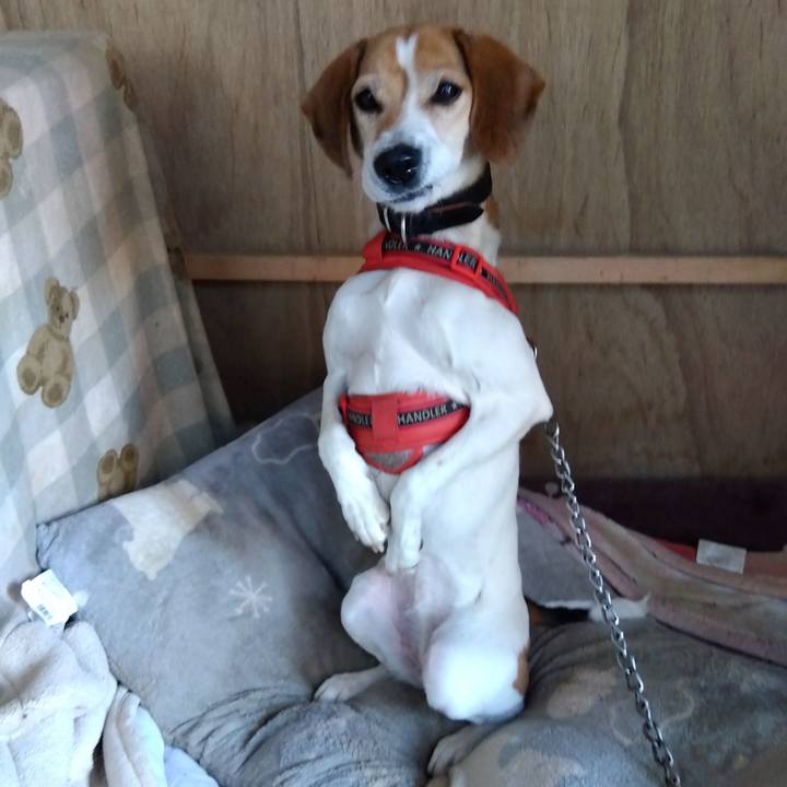 A2620159 c15e 474d 9c57 b83d48fd11b0 1705044323457