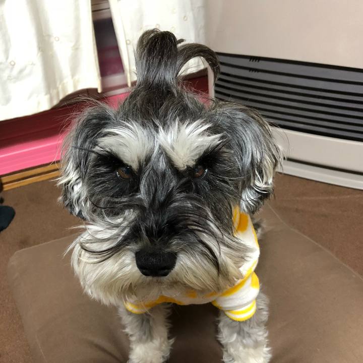 A2625195 e354 4402 8a35 90162b2eae33 1521297542509