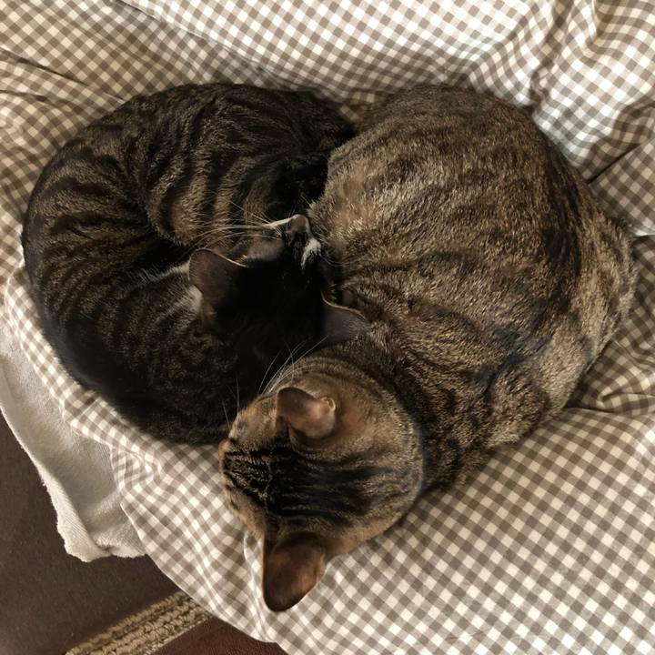 A262682f 66c2 4b9b bb9c 3805c2fd10d9 1515807775445