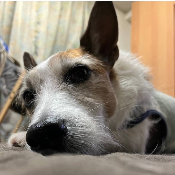 A262de9c 6757 48ed 97f6 2fb0e22dcfcd 1677454203722