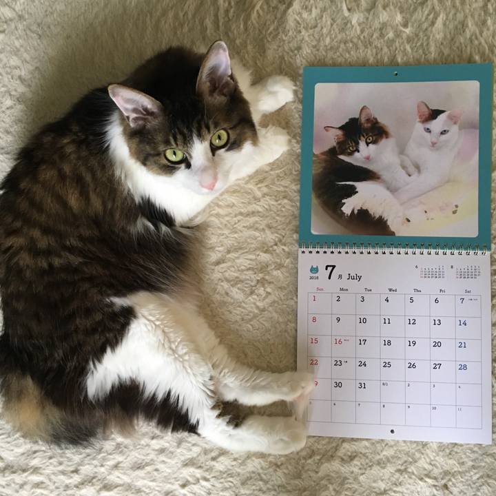 A2632ee4 0d9a 49b2 9f95 5b2834d688e7 1530399813535