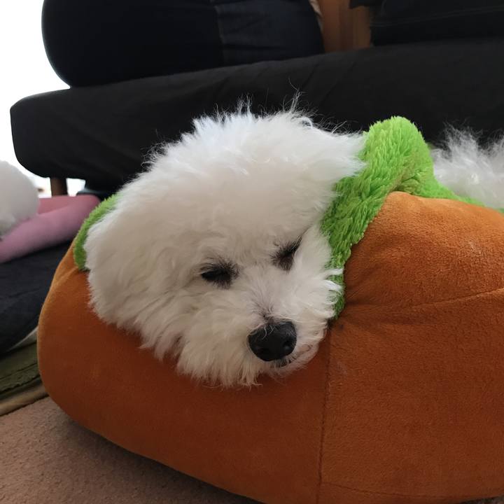 A2632f01 22ea 4aaf 894f 6b11fcbe6434 1526794105752